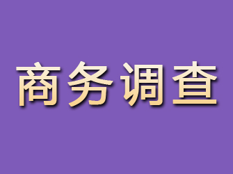 长江新区商务调查