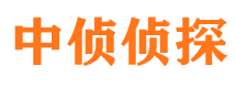 长江新区市私家侦探